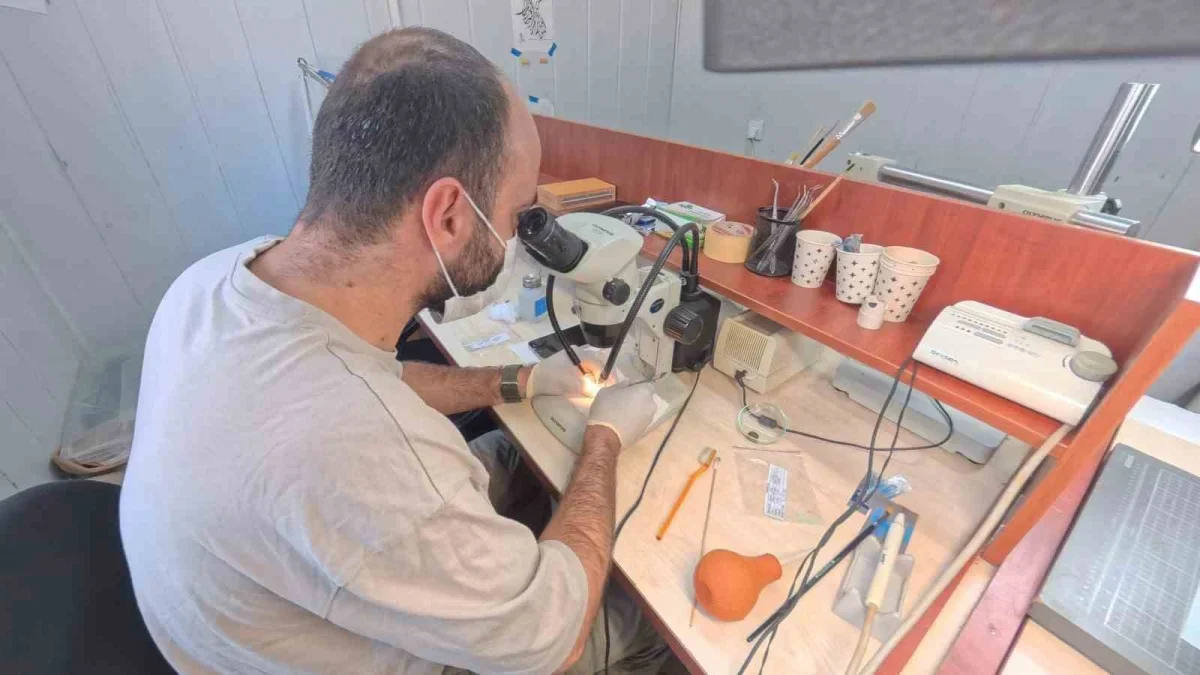 Parion Antik Kenti'nde 2026 kazı çalışmaları iki alanda başladı