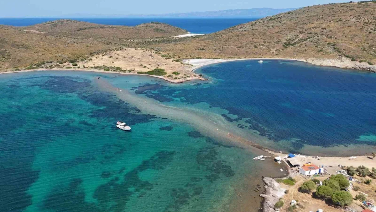 Cunda Adası ile Maden Adası arasında denizden yürüyerek geçiş
