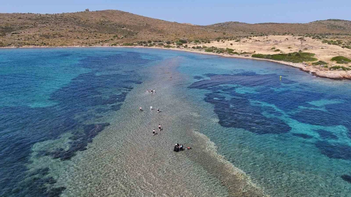 Cunda Adası ile Maden Adası arasında denizden yürüyerek geçiş