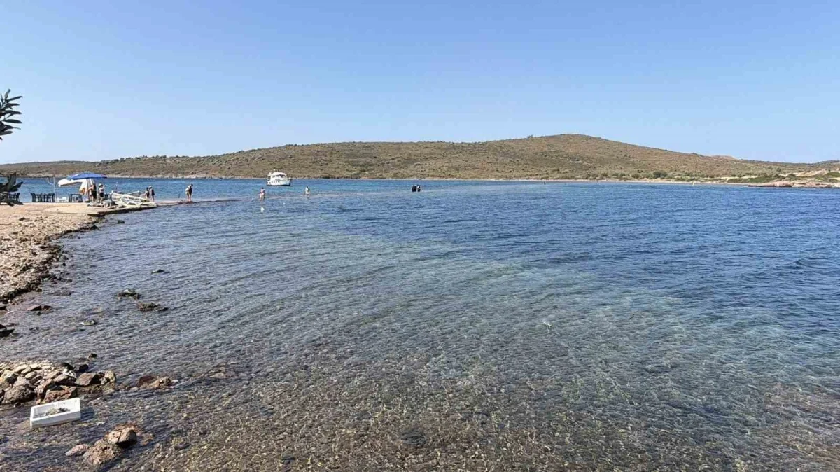 Cunda Adası ile Maden Adası arasında denizden yürüyerek geçiş