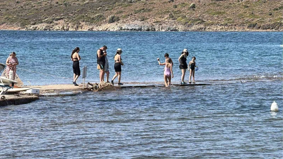 Cunda Adası ile Maden Adası arasında denizden yürüyerek geçiş