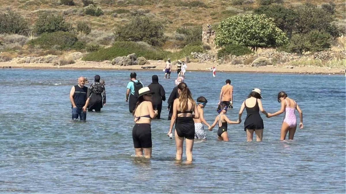 Cunda Adası ile Maden Adası arasında denizden yürüyerek geçiş