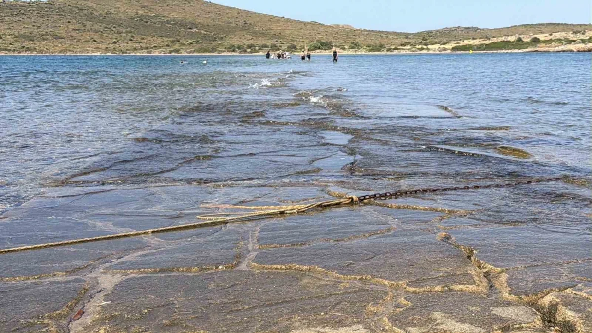 Cunda Adası ile Maden Adası arasında denizden yürüyerek geçiş