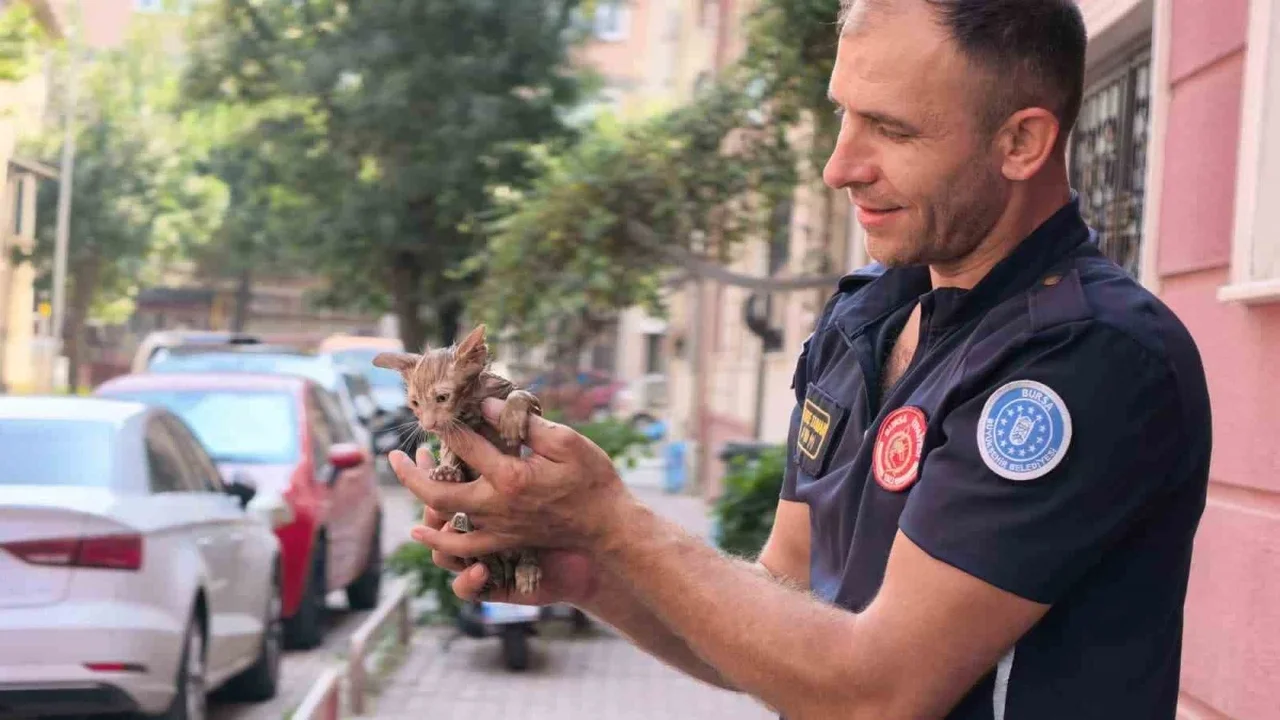 İnegöl'de yağmur suyu giderine sıkışan yavru kedi kurtarıldı