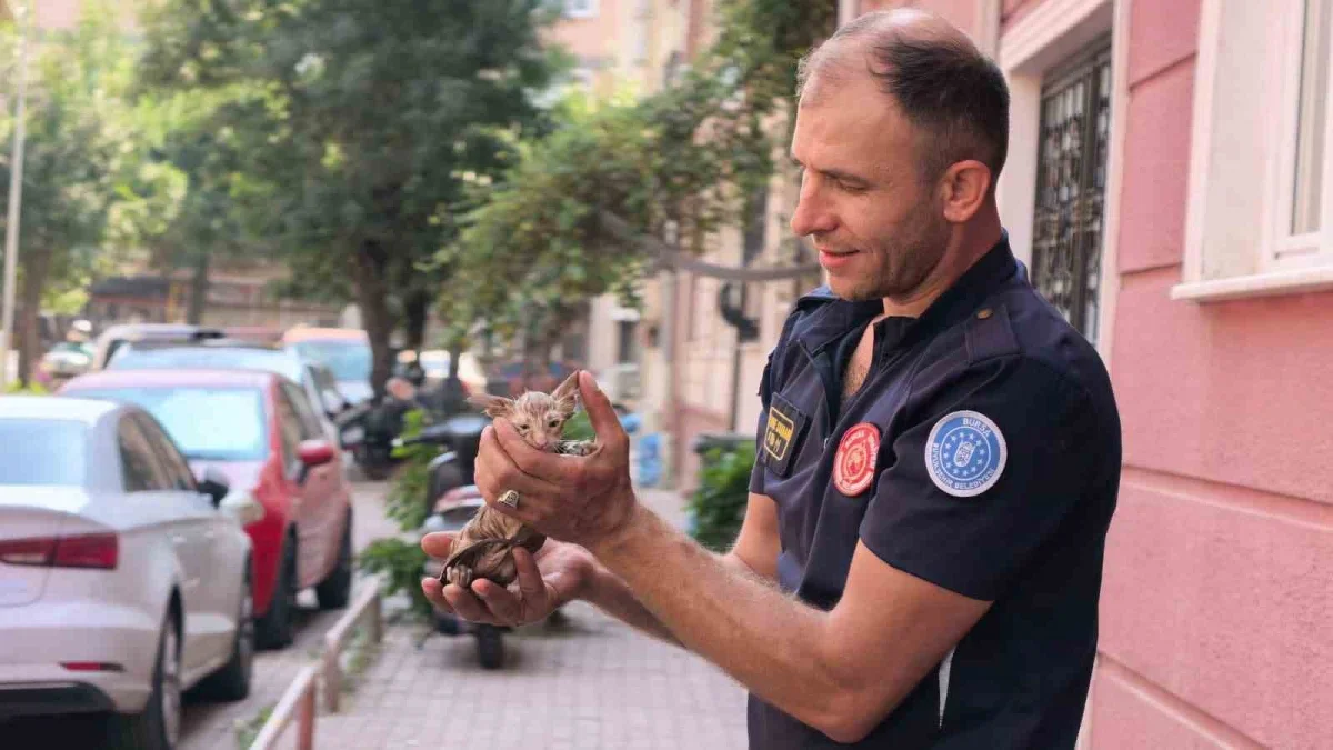 İnegöl'de yağmur suyu giderine sıkışan yavru kedi kurtarıldı