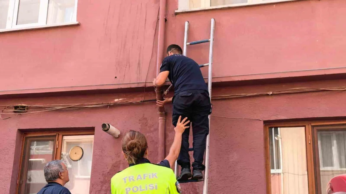 İnegöl'de yağmur suyu giderine sıkışan yavru kedi kurtarıldı