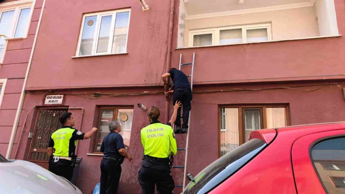 İnegöl'de yağmur suyu giderine sıkışan yavru kedi kurtarıldı