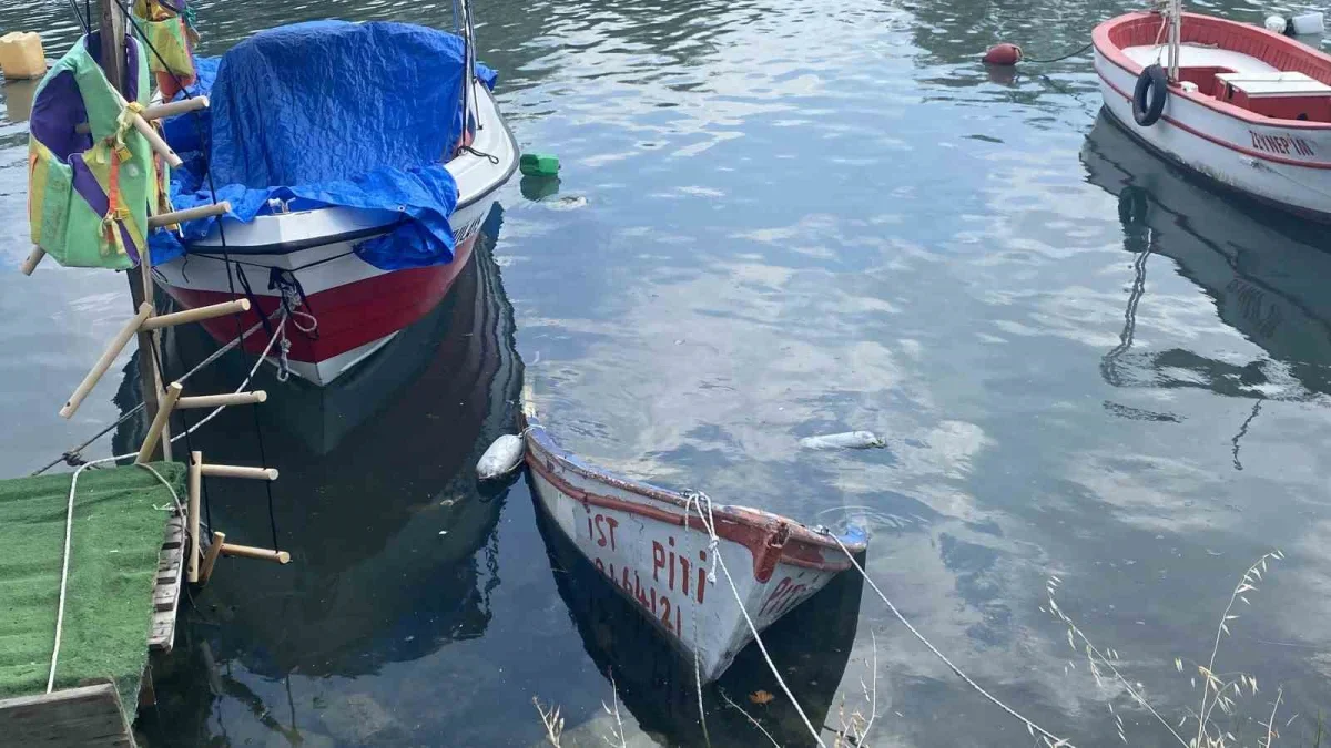 Küçükçekmece Menekşe Deresi'nde batık tekneler tehlike saçıyor