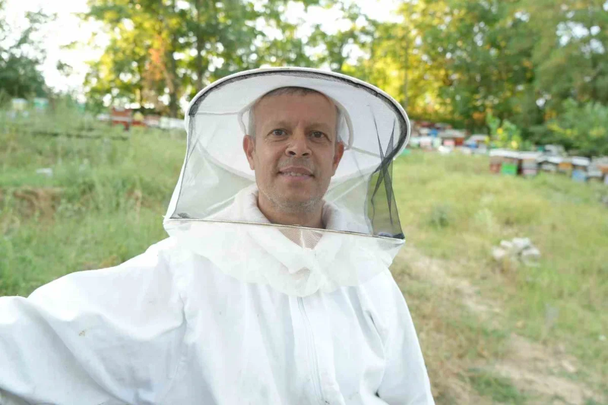 Edirne'de yağışlar bal üretimini artırdı: Sezon bereketli geçti