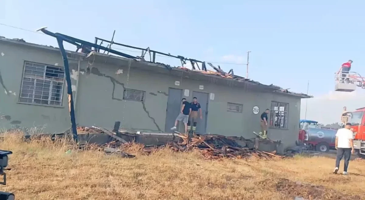 Edirne Meriç'te anız yangını ormana sıçradı, yol kapatıldı