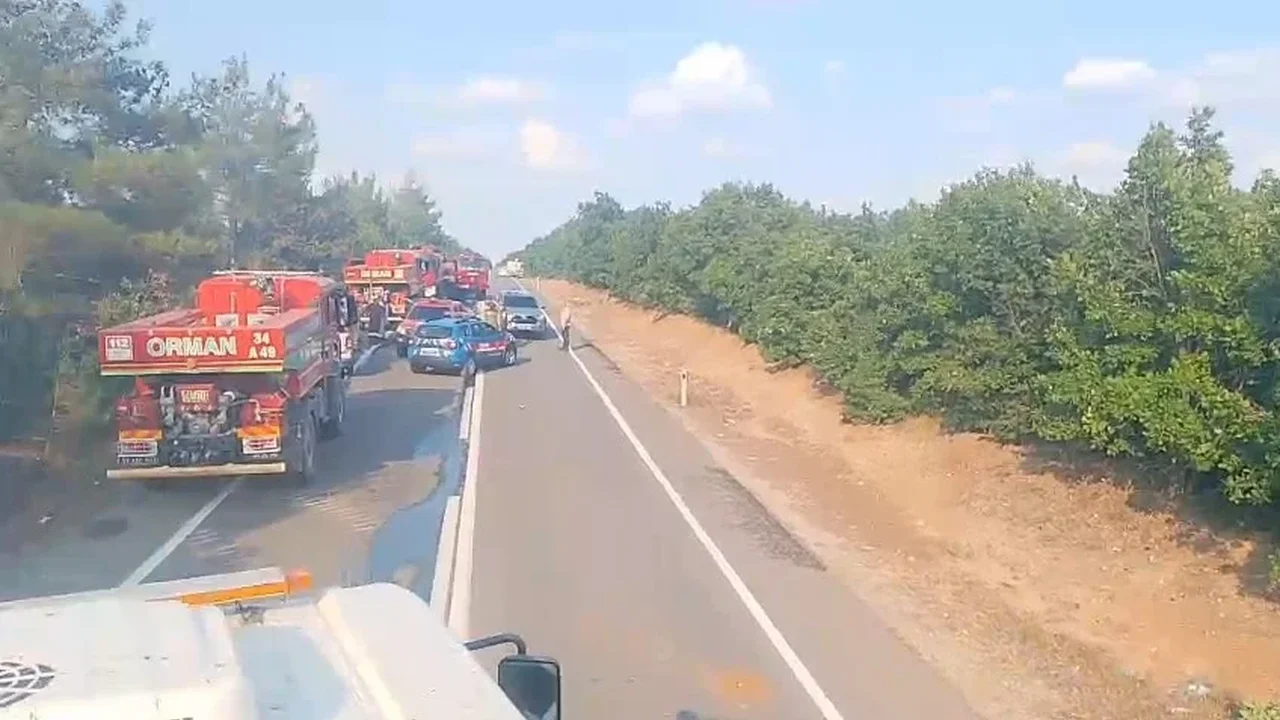 Edirne Meriç'te anız yangını ormana sıçradı, yol kapatıldı