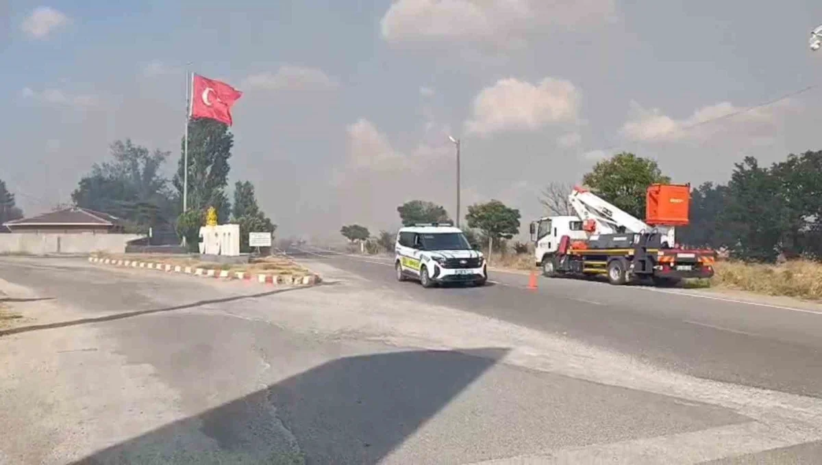 Edirne Meriç'te anız yangını ormana sıçradı, yol kapatıldı