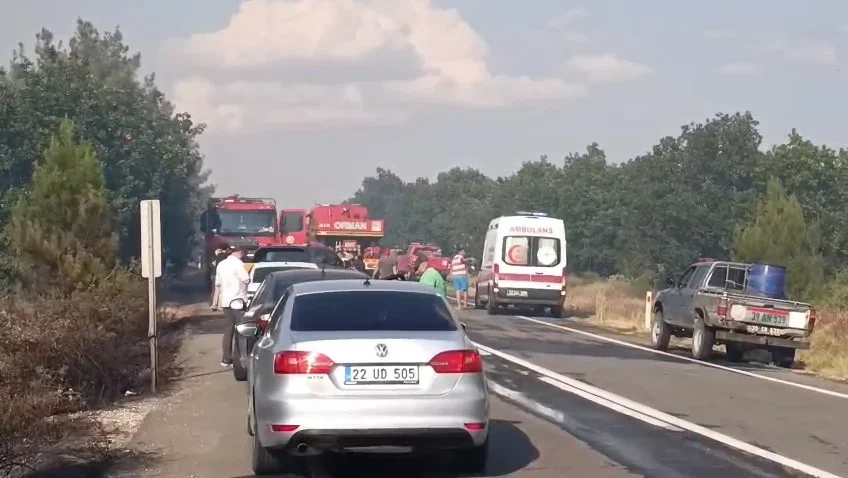 Edirne Meriç'te anız yangını ormana sıçradı, yol kapatıldı