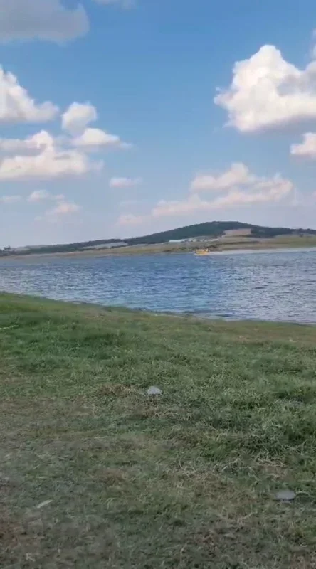Edirne Meriç'te anız yangını ormana sıçradı, yol kapatıldı
