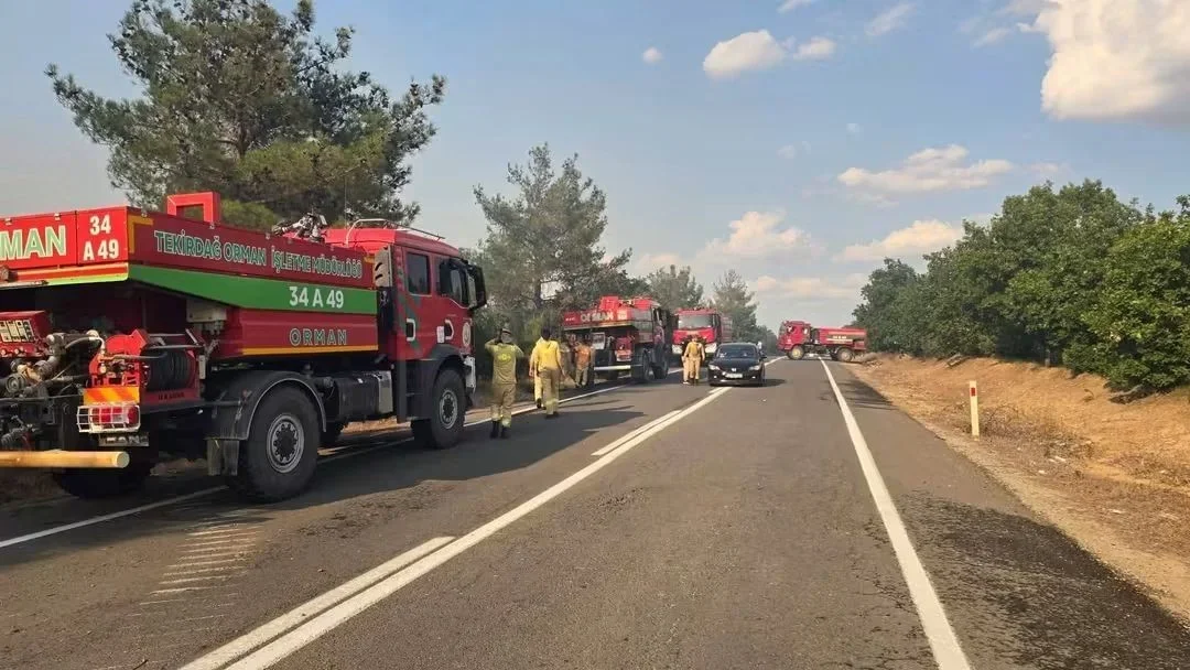 Meriç'te orman yangını kontrol altına alındı, yol açıldı