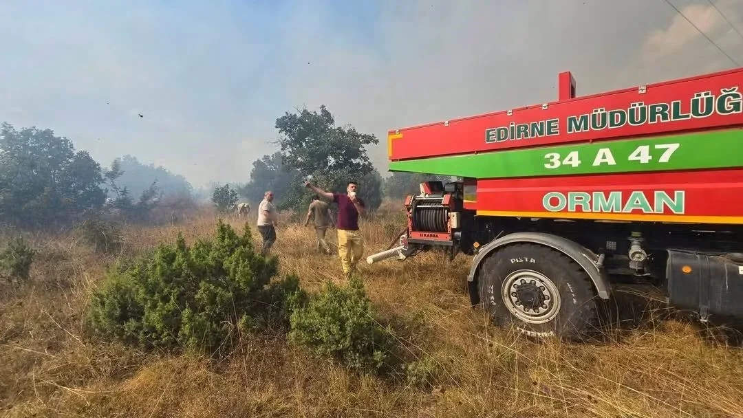 Meriç'te orman yangını kontrol altına alındı, yol açıldı