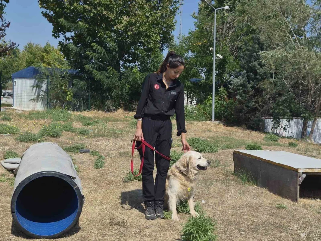 İstanbul'da AFAD gönüllüleri deprem için sahada eğitiliyor