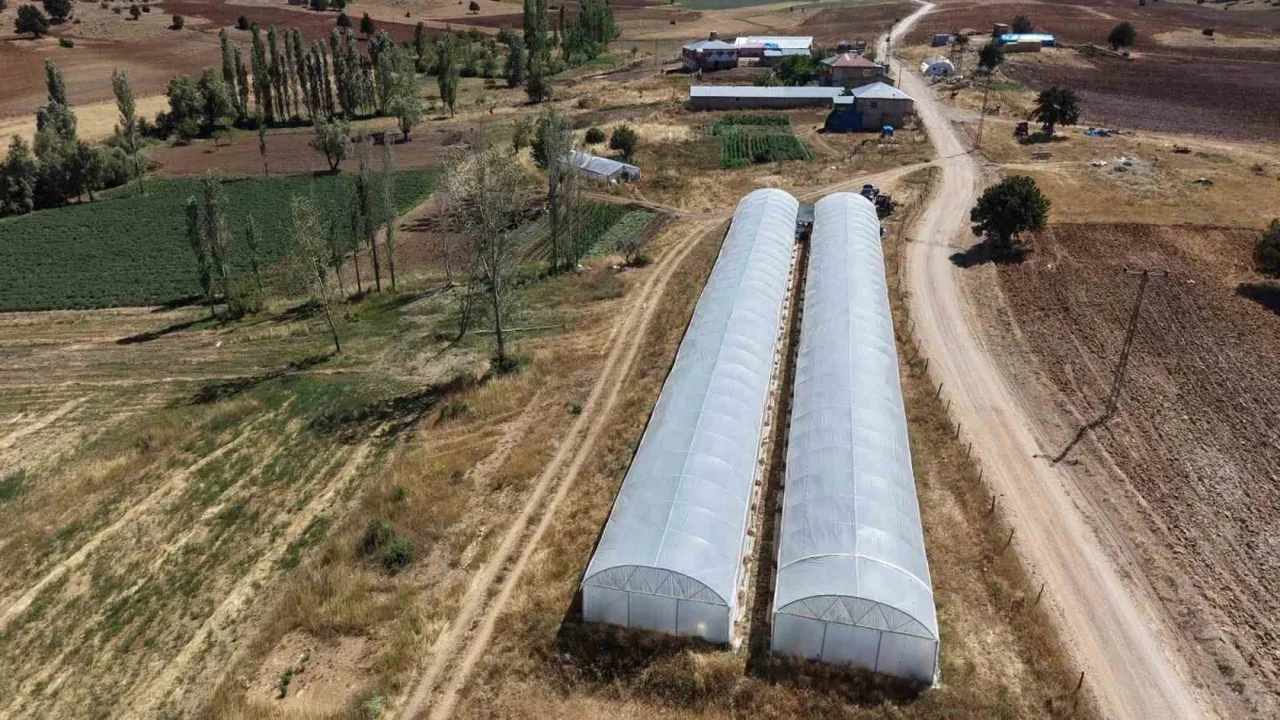 Saimbeyli'de baba-kız bin 500 rakımda domates serası kurdu