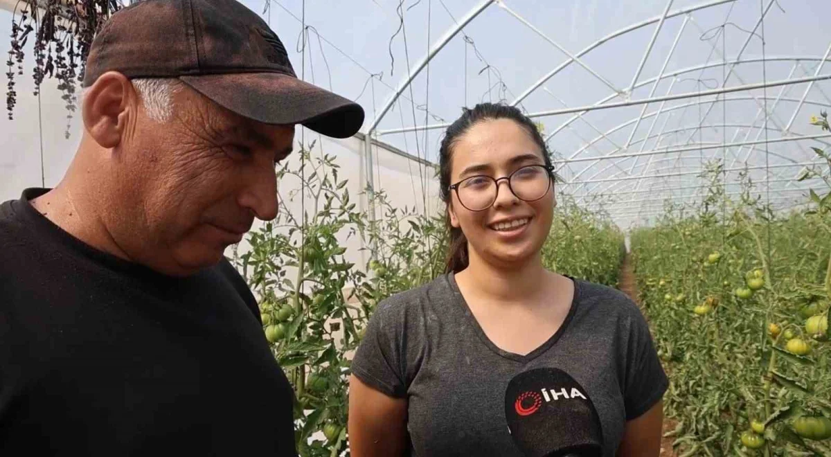 Saimbeyli'de baba-kız bin 500 rakımda domates serası kurdu