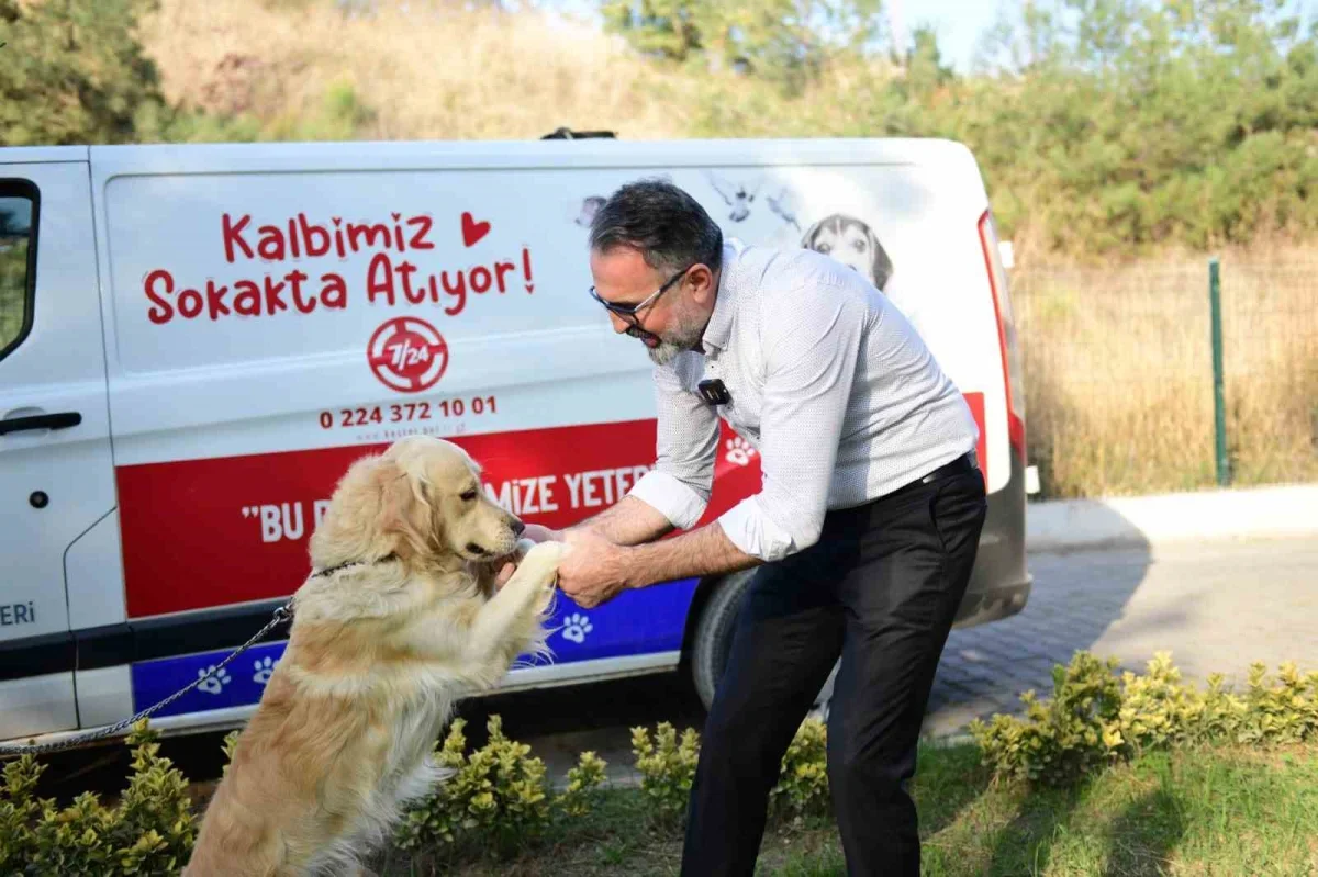 Kestel Belediyesi dijital sahiplendirme platformu ile yuva kolaylığı