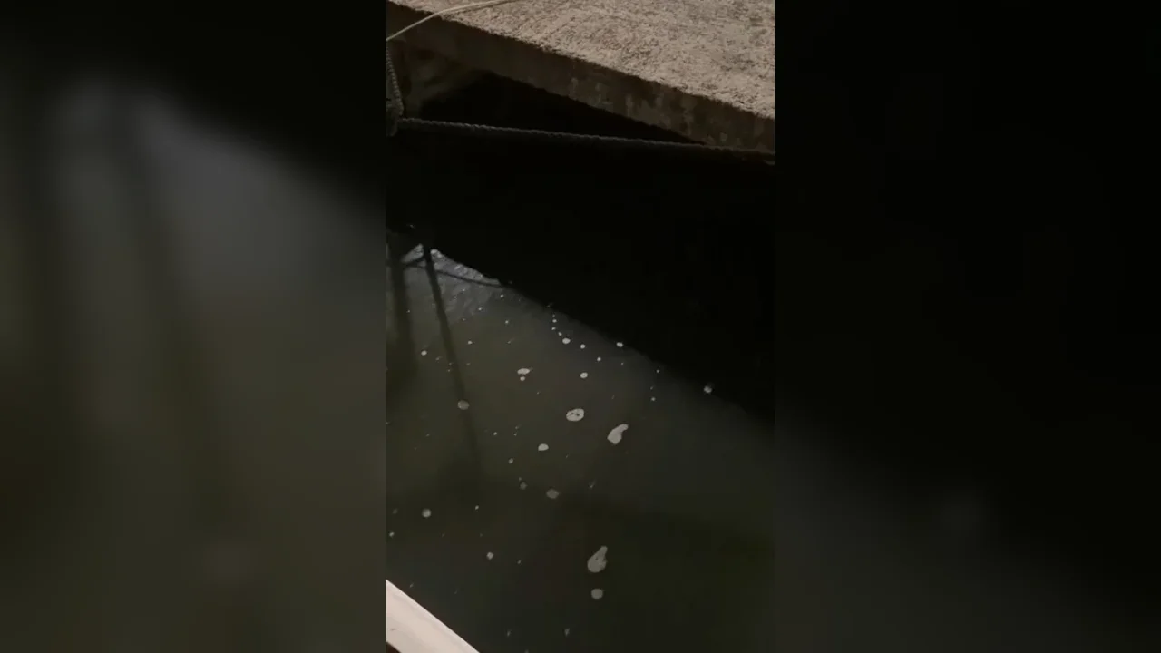 Yeşilköy Balıkçı Barınağı'nda kaçak atık su deşarjı görüntülendi