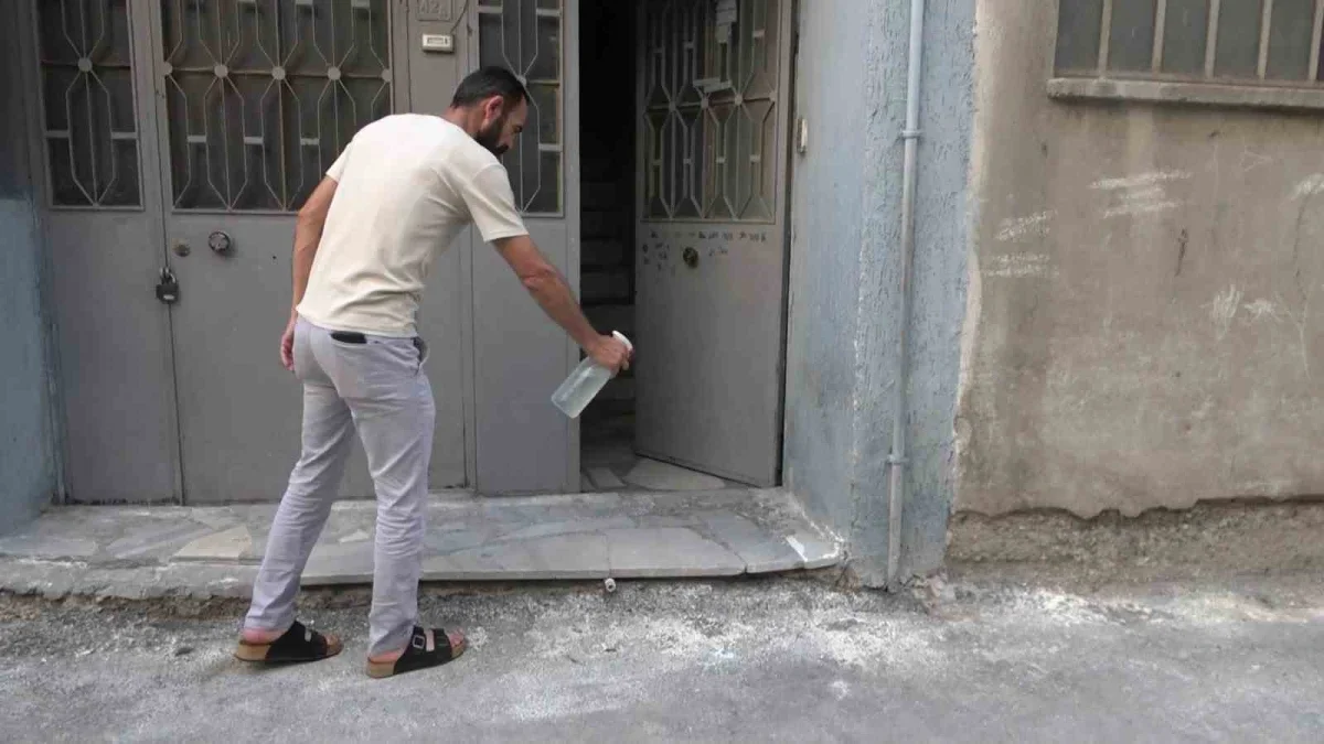 Bursa Yıldırım'da hayvanlara şiddet iddiası: Apartman boşaltıldı