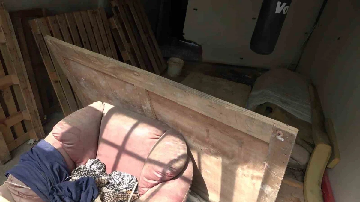 Bursa Yıldırım'da hayvanlara şiddet iddiası: Apartman boşaltıldı