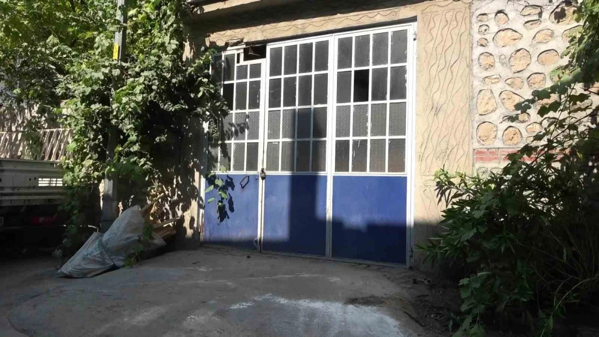 Bursa Yıldırım'da hayvanlara şiddet iddiası: Apartman boşaltıldı