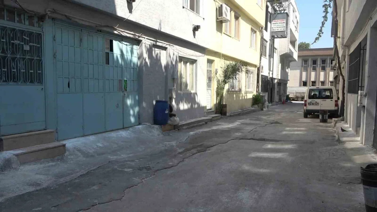 Bursa Yıldırım'da hayvanlara şiddet iddiası: Apartman boşaltıldı