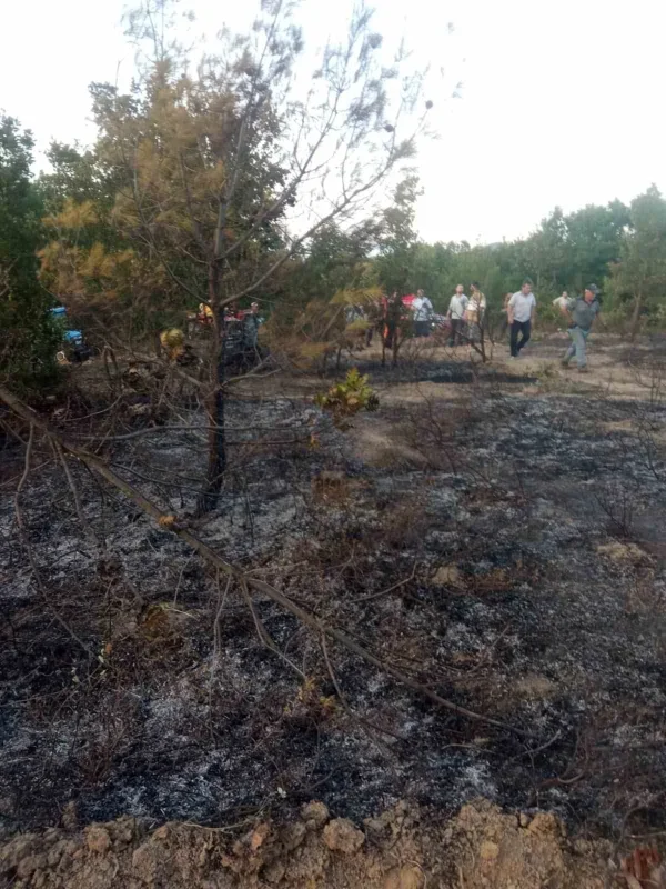 Kocaeli Karamürsel'de orman yangını: 30 dönüm alan yandı