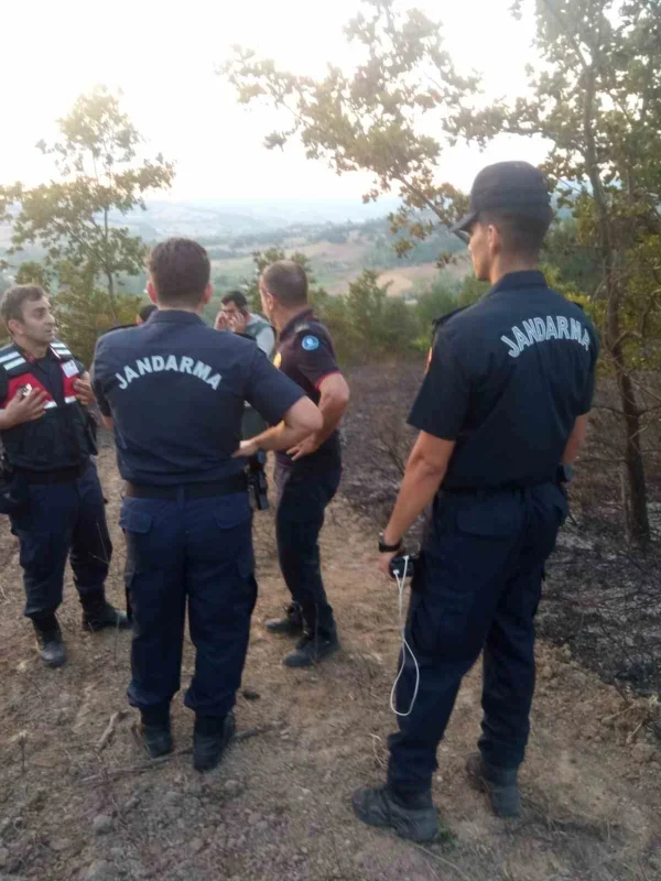 Kocaeli Karamürsel'de orman yangını: 30 dönüm alan yandı
