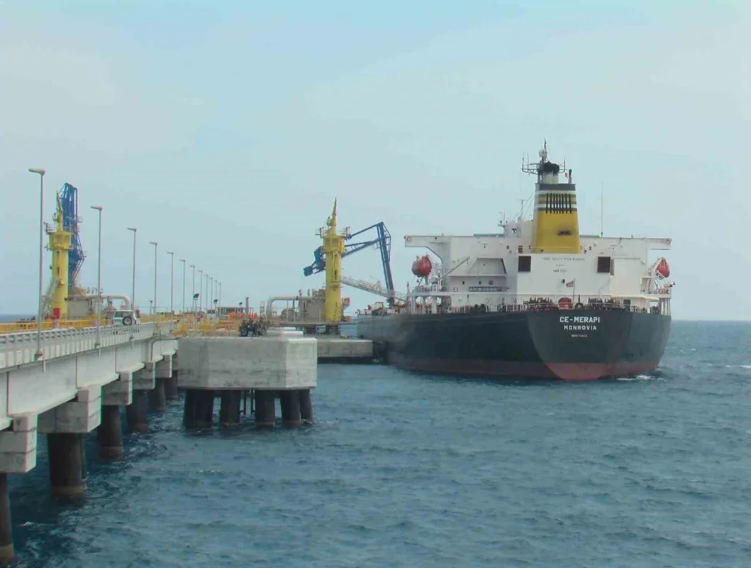 Ceyhan, enerji ve sanayide Türkiye'nin stratejik merkezi oluyor