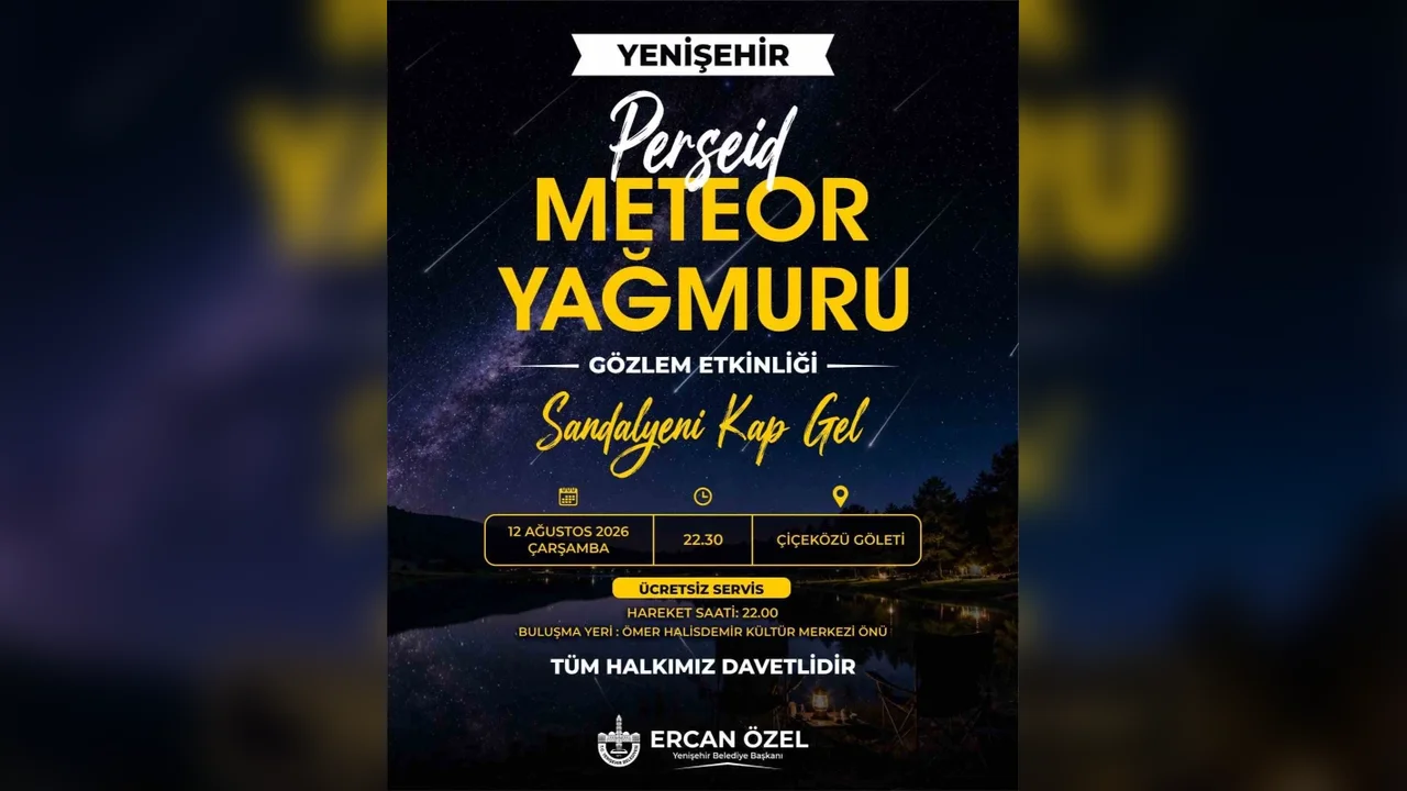 Yenişehir'de Perseid Meteor Yağmuru için gökyüzü buluşması