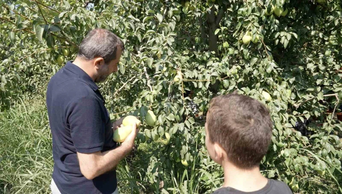 Gürsu'da küçük çiftçi İbrahim Çankaya Başkan Işık'ı etkiledi