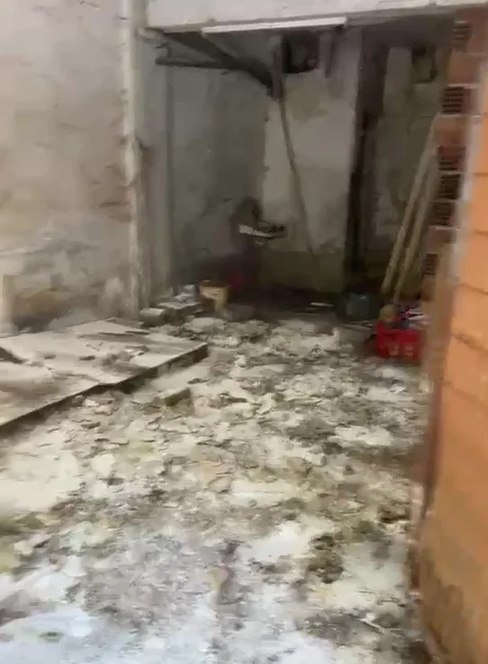 Bursa Yıldırım'da hayvanlara kötü muamele iddiası