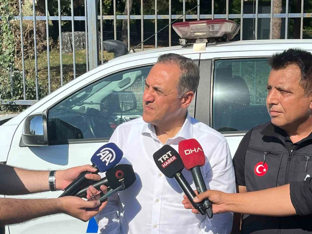 Yalova Valisi Usta: F-16 kazasında can kaybı yok