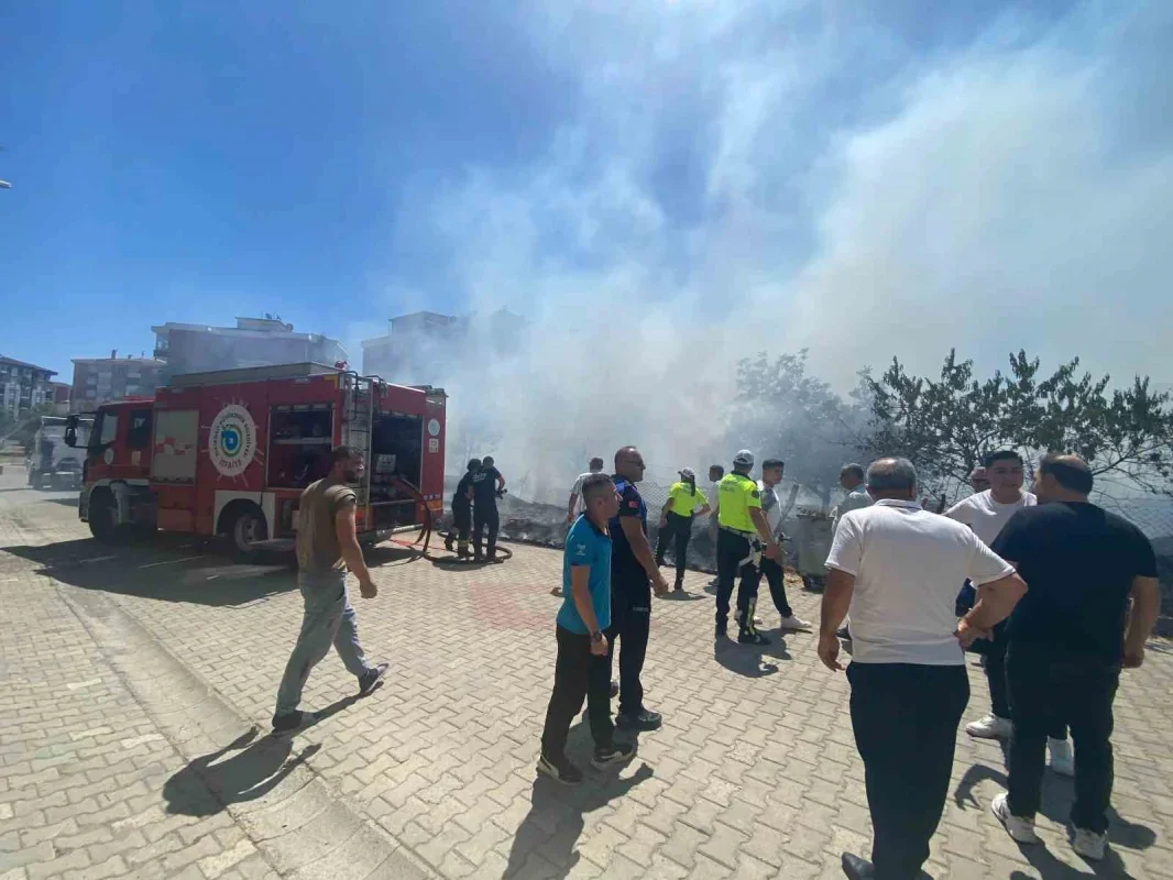 Tekirdağ Çorlu'da ot yangını tır ve iki araca sıçradı