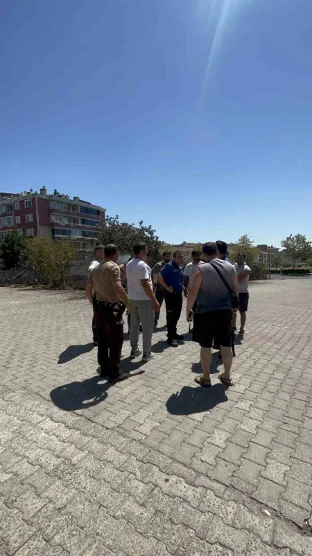 Tekirdağ Çorlu'da ot yangını tır ve iki araca sıçradı