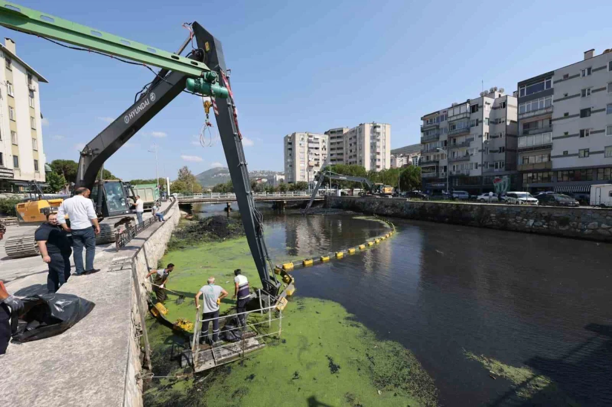 Gemlik'te Karsak ve Çarşı derelerinde temizlik çalışması
