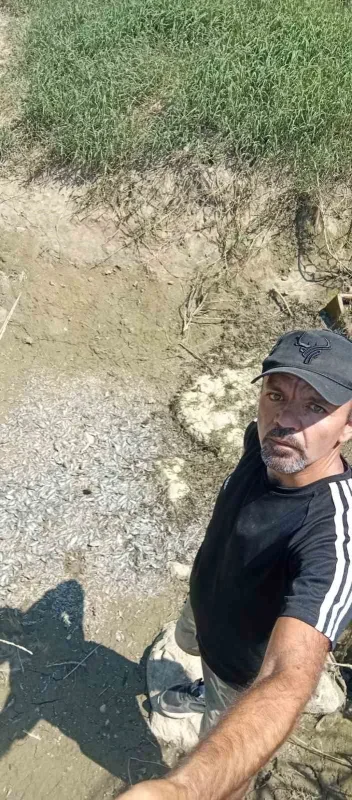 Bursa'da kuruyan derede binlerce yavru balık kurtarıldı