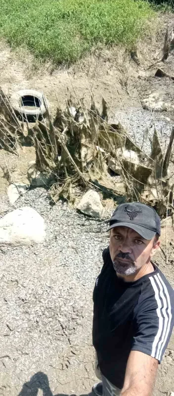 Bursa'da kuruyan derede binlerce yavru balık kurtarıldı