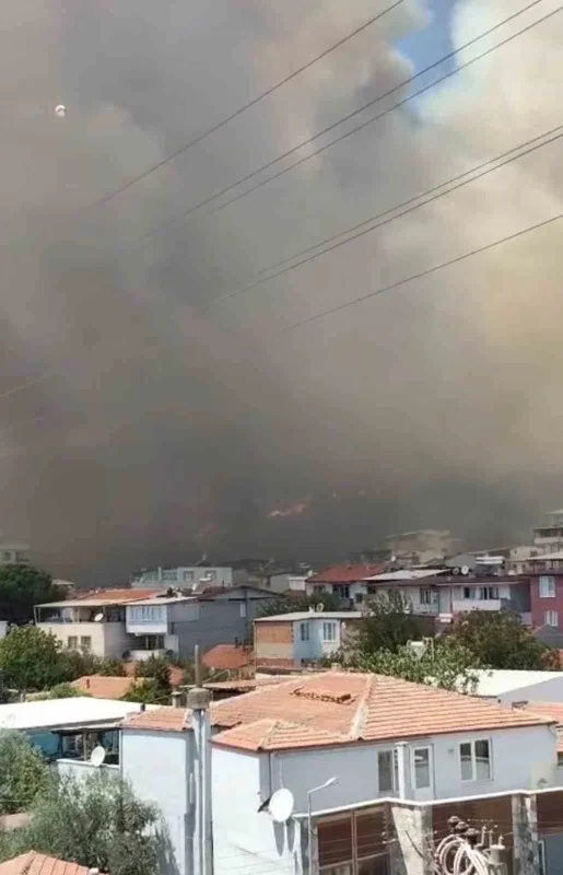 Kazdağları eteklerinde yangın: Siyah dumanlar körfezden görüldü