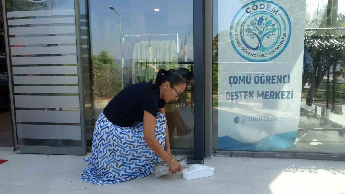 ÇOMÜ Öğrenci Destek Merkezi'ne gece gelen tilki kamerada