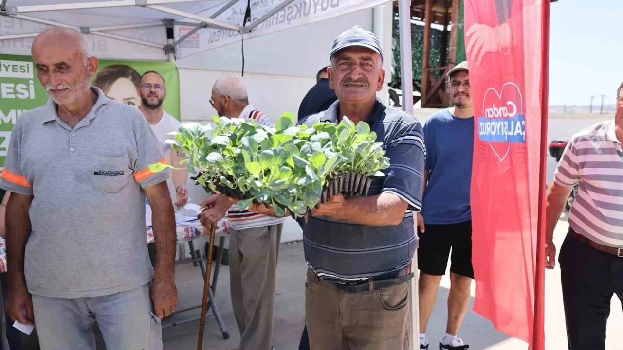 Tekirdağ'da üreticiye kışlık sebze desteği: 104 bin fide
