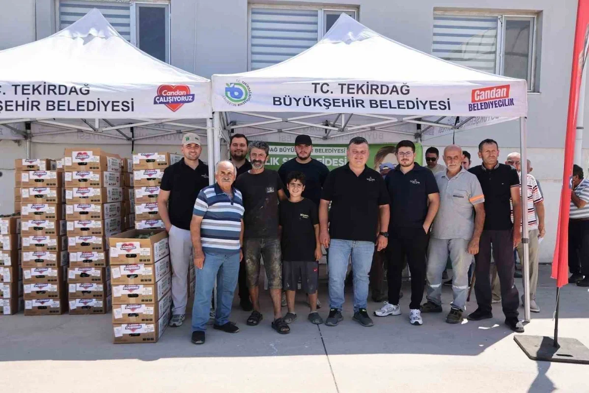 Tekirdağ'da üreticiye kışlık sebze desteği: 104 bin fide