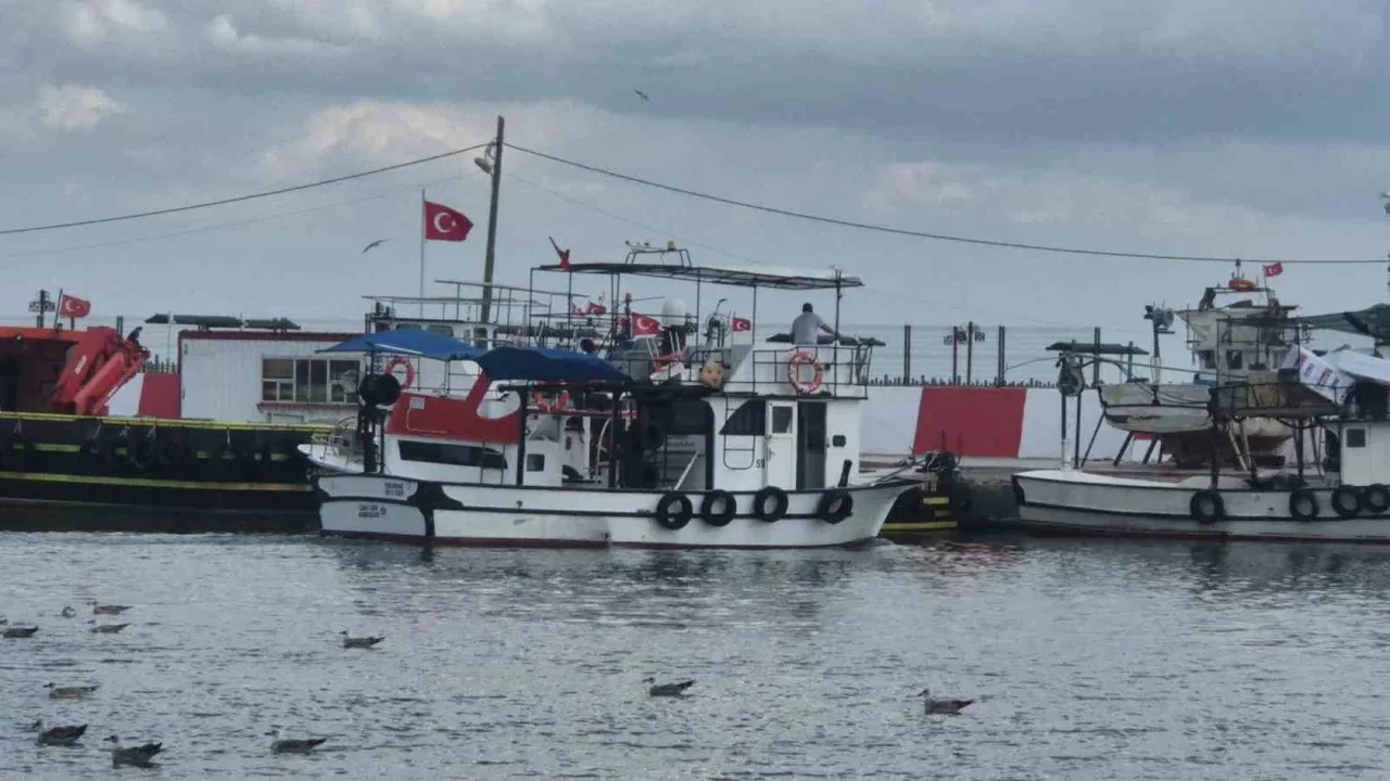 Tekirdağ'da palamut sezonu erken başlıyor: Balıkçılar denizde