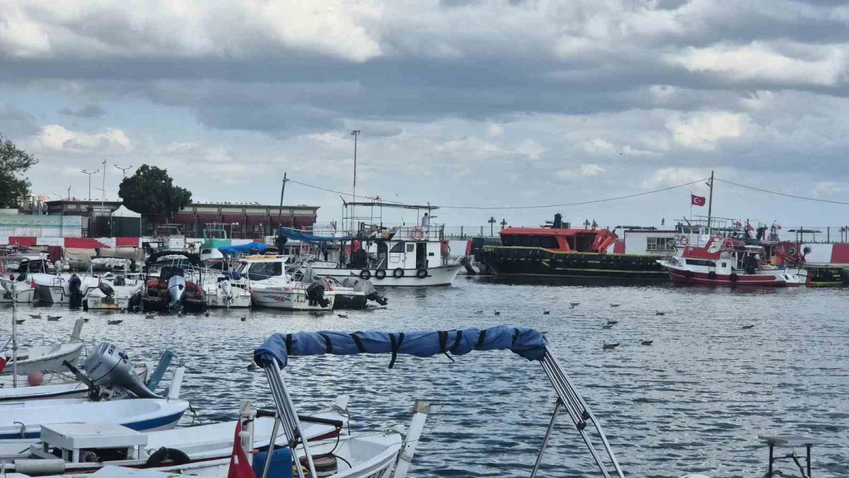 Tekirdağ'da palamut sezonu erken başlıyor: Balıkçılar denizde