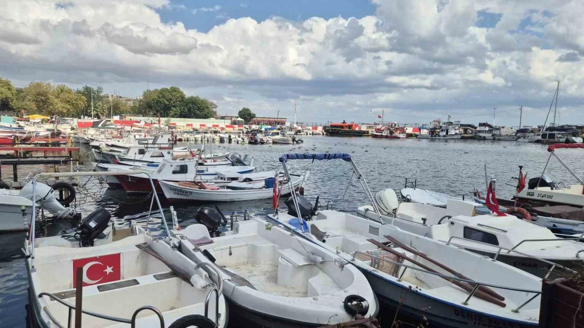 Tekirdağ'da palamut sezonu erken başlıyor: Balıkçılar denizde