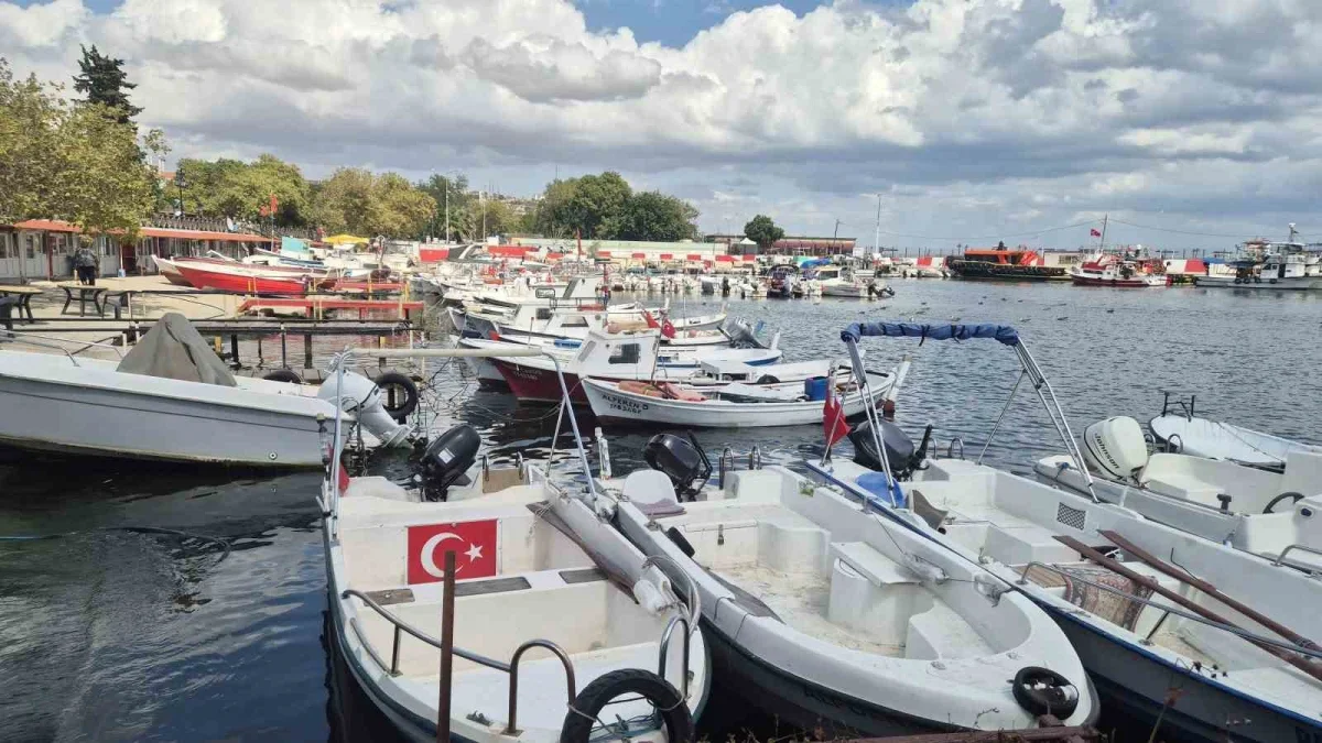 Tekirdağ'da palamut sezonu erken başlıyor: Balıkçılar denizde
