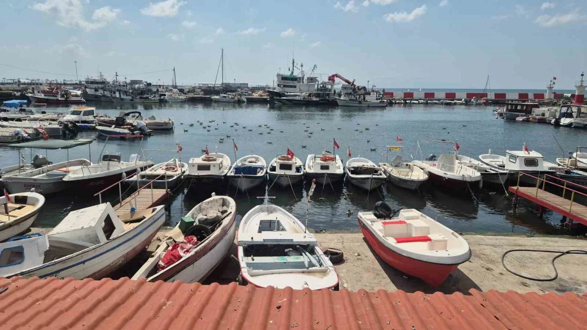 Tekirdağ'da palamut sezonu erken başlıyor: Balıkçılar denizde